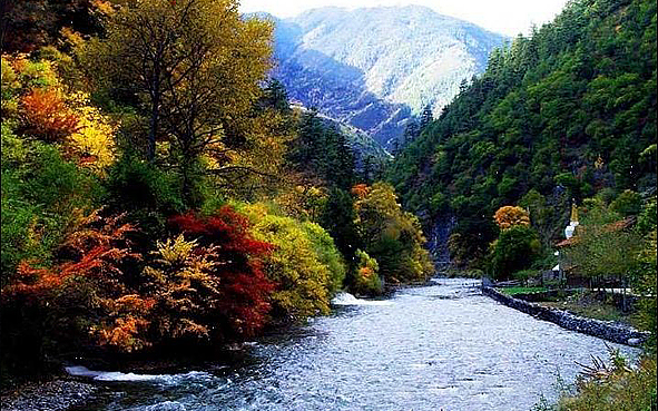 阿坝州-理县-米亚罗镇-杂谷脑河·米亚罗风景旅游区