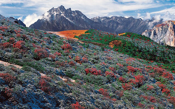 阿坝州-茂县-南新镇-九顶山风景旅游区