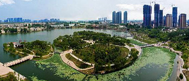 菏泽市-牡丹区-赵王河公园