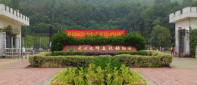 武汉市-洪山区-九峰国家森林公园·九峰山森林动物园