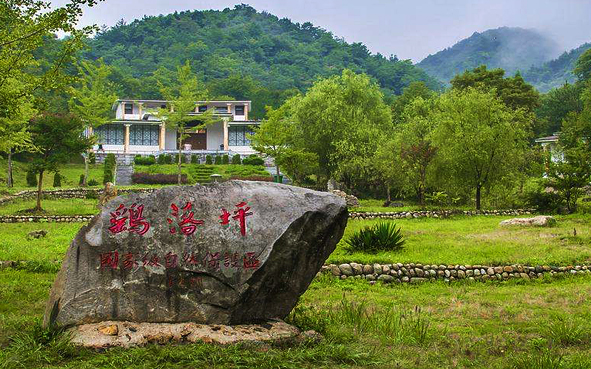 安庆市-岳西县-大别山·鹞落坪国家级自然保护区