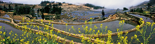 红河州-元阳县-新街镇-坝达村-（元阳梯田）坝达梯田风景旅游区|4A