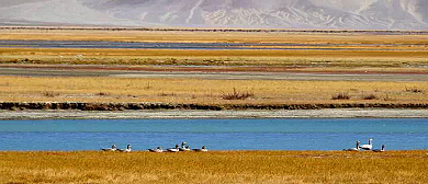 阿里地区-噶尔县-噶尔藏布河