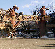 北京市-延庆区-八达岭熊乐园