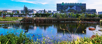 深圳市-龙岗区-深圳国际低碳城·会展中心