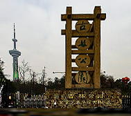 南京市-鼓楼区-古林公园