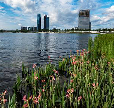 成都市-双流区(天府新区)-天府公园·秦皇湖风景区（建设中）