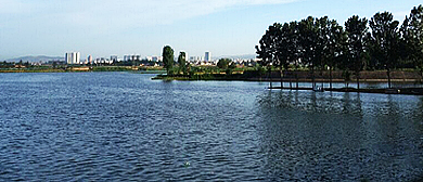 宝鸡市-凤翔区-雍城湖国家湿地公园·风景旅游区