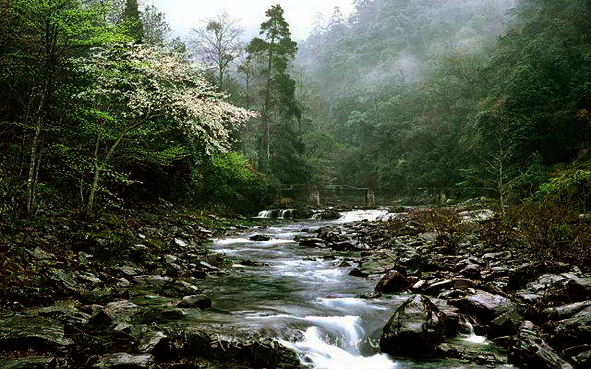 湘西州-永顺县-小溪国家级自然保护区