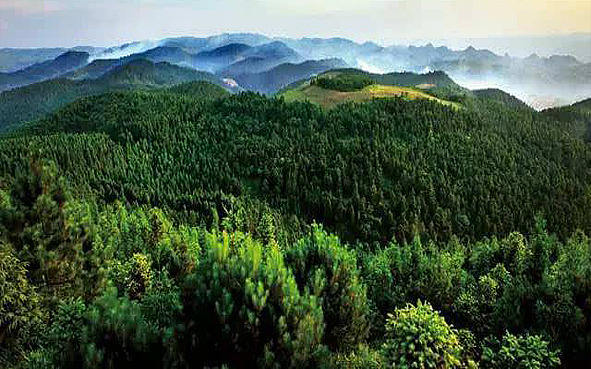 黔南州-瓮安县-朱家山国家森林公园·朱家山（映山红）风景旅游区