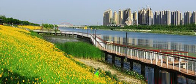 宿州市-埇桥区-新汴河（滨河）风景旅游区|4A