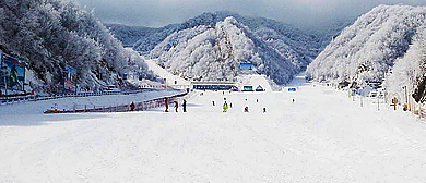 洛阳市-栾川县-石庙镇-杨树坪村·伏牛山滑雪场度假乐园|4A