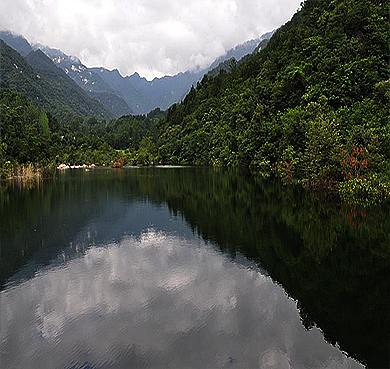 南阳市-南召县-乔端镇-伏牛山·宝天曼国家级自然保护区