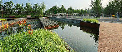 南京市-建邺区-国际青年文化公园