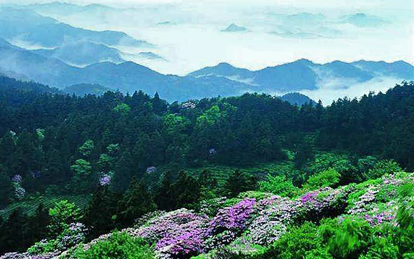 台州市-天台县-石梁镇-天台山·华顶（1098米·华顶国家森林公园）风景旅游区