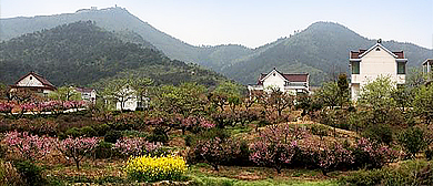 马鞍山市-当涂县-护河镇-桃花村·风景旅游区