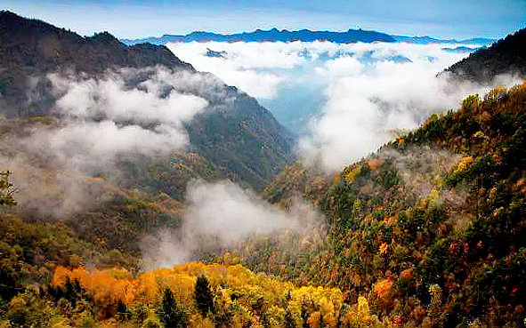重庆市-开州区-雪宝山国家森林公园·国家级自然保护区