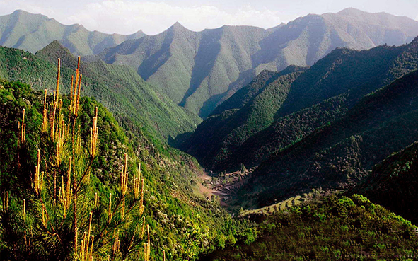 临汾市-蒲县-五鹿山国家级自然保护区