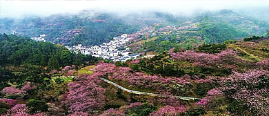 黄山市-歙县-雄村镇-卖花渔村