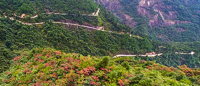 郴州市-宜章县-南岭·骑田岭（骑田林场）风景区