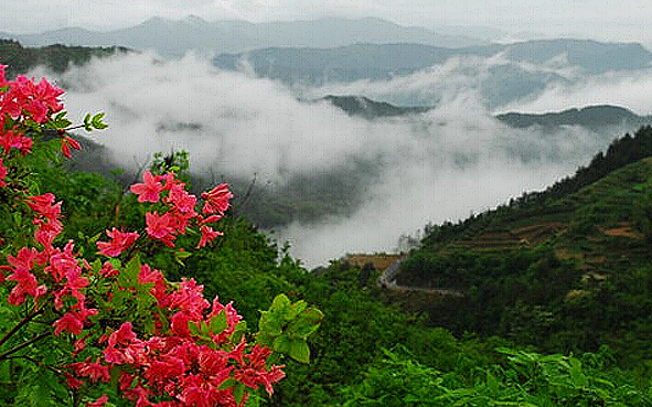 黄冈市-英山县-草盘镇-大别山（黄冈）国家地质公园·桃花冲（大同尖·1698米·湖北大别山国家级自然保护区）风景旅游区|4A