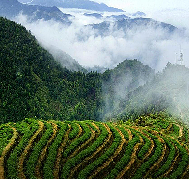 保山市-昌宁县-昌宁红茶小镇（昌宁红茶业集团公司·工业旅游区）