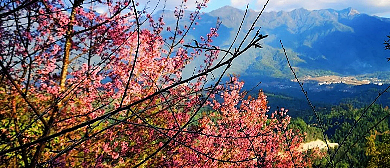 保山市-腾冲市-北海乡-双坡村-高黎贡山·樱花谷（温泉）风景旅游区