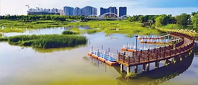 郑州市-新郑市区-轩辕湖湿地公园 