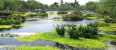 昆明市-西山区-五家堆湿地公园