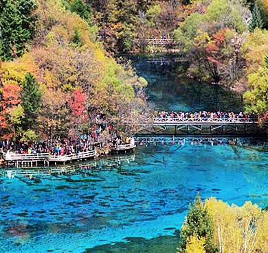 阿坝州-九寨沟县-九寨沟·日则沟（五花海·熊猫海·天鹅海）风景旅游区