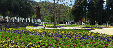 广元市-青川县-大坝镇-凌霄花谷风景区