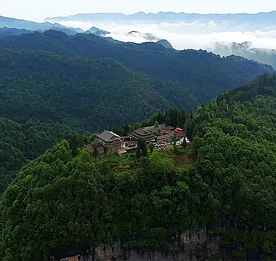 雅安市-芦山县-灵鹫山（灵鹫山寺）自然保护区