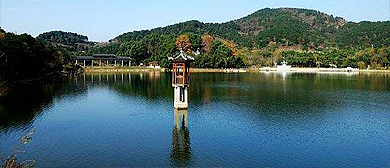 武汉市-黄陂区-蔡家榨街道-红界山·花乡茶谷风景旅游区|4A