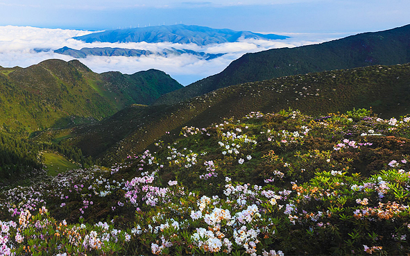 凉山州-金阳县-狮子山·百草坡风景区