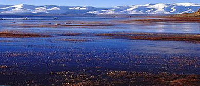 阿里地区-日土县-鲁玛江冬错湖风景区