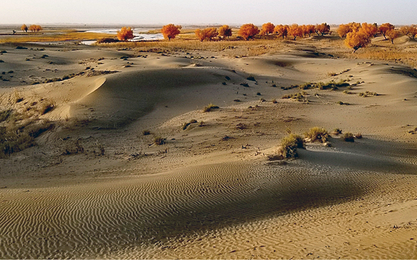 和田地区-民丰县-塔克拉玛干沙漠（塔里木沙漠公路）风景区