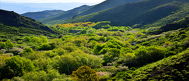 塔城地区-托里县-果子沟风景区