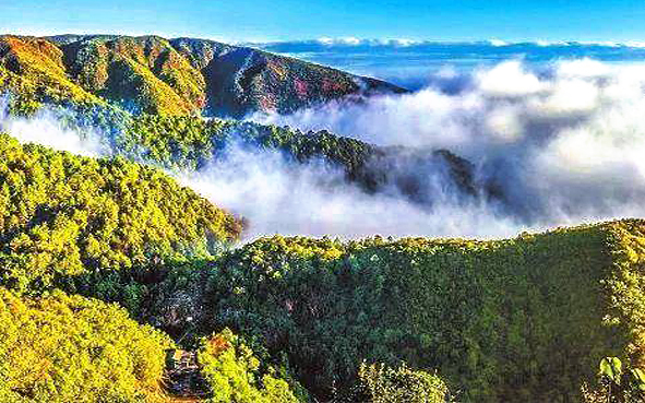 玉溪市-红塔区-洛河乡-高鲁山（2614米·骡马大地）风景区