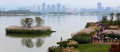 汉中市-南郑区-汉江·天汉湿地公园