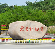 唐山市-迁西县城-栗香植物园