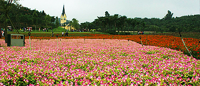 自贡市-沿滩区-自贡花海（釜溪河湿地公园）风景旅游区