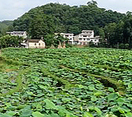 黔西南州-安龙县-戈塘镇-香车河村