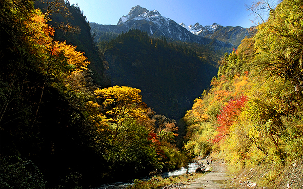 绵阳市-平武县-虎牙乡-岷山·雪宝顶（虎牙大峡谷）国家级自然保护区