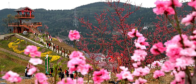 广元市-昭化区-昭化镇-昭化桃博园风景旅游区