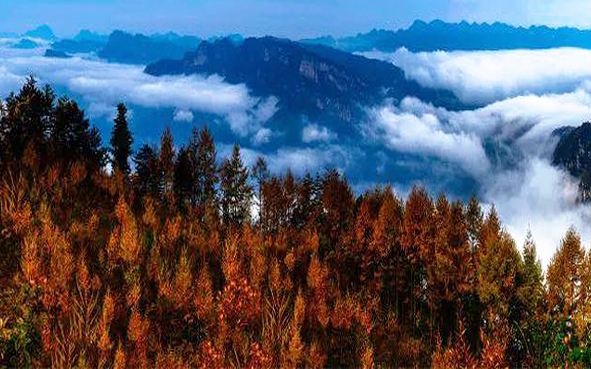 广元市-旺苍县-米仓山（大峡谷）国家级风景名胜区·国家级自然保护区|4A