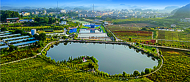 南充市-西充县-义兴镇-书房山村-中国有机生活公园