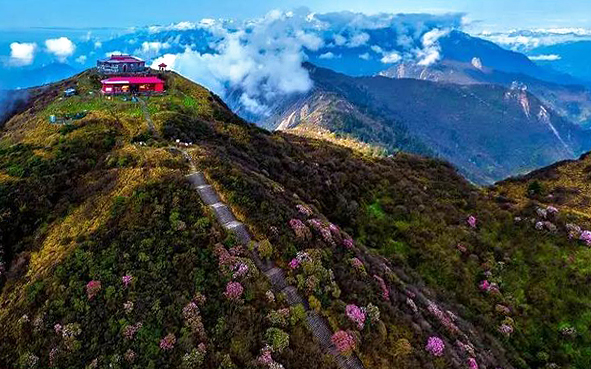 绵阳市-安州区-千佛镇-岷山·千佛山（千佛山国家森林公园·千佛山国家级自然保护区）风景旅游区