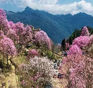 绵阳市-北川县-北川药王谷风景旅游区|4A