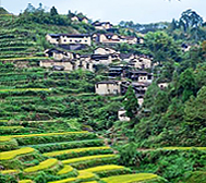 丽水市-松阳县-叶村乡-岱头村