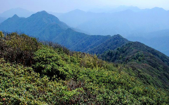 普洱市-镇沅县-哀牢山（大雪锅山3138米）国家级自然保护区